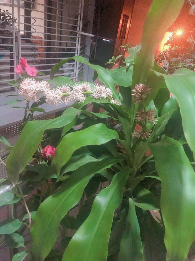 Li Homestay 134 Tran Binh, My Dinh, Nam Tu Liem, Ha Noi Ανόι Εξωτερικό φωτογραφία